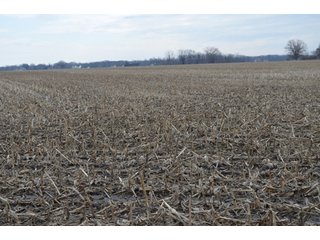 Property photo 6 - 173 +/- Acres Offered in 3 Tracts - Ohio Farmland